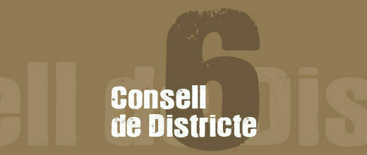 Consell de Districte VI 