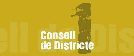 Consell de Districte I 