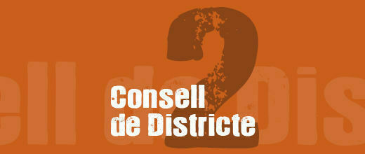 Consell de Districte II