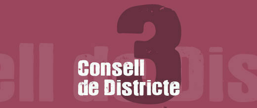 Consell de Districte III