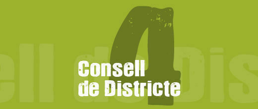 Consell de Districte IV